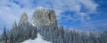 Winter scene in forest. snow at the Lonely Stone