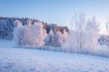 Winter scene. Frost and snow in picturesque morning. Snowy winter landscape in morning sunlight. Beautiful frosty nature.