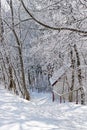 Winter scene, Germany Royalty Free Stock Photo