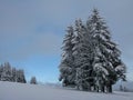 Winter scene / Germany Royalty Free Stock Photo