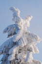 Winter scene with ice and snow Royalty Free Stock Photo