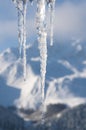 Winter scene with ice and snow Royalty Free Stock Photo