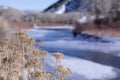 Rich warm browns of winter foliage against a snowy and icy river