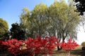 The winter scene of Junshan island in Dongting lake area Royalty Free Stock Photo