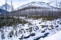 Winter scene in Kootenay National Park with burned forest fire trees, the Kootenay River and Canadian Mountains, all covered in Royalty Free Stock Photo