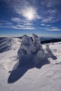 Winter scene from Kosarisko in Low Tatras mountains Royalty Free Stock Photo