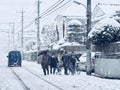 Winter Scene in Living District of Tokyo Royalty Free Stock Photo