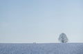 Winter scene with a lonely leafless tree, bench and cloudless sky in minimalism style.