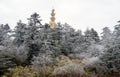 Winter scene at mt. emei Royalty Free Stock Photo