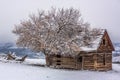 Colorado Pioneer Cabin