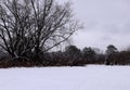 Winter scene in an open field after a snow storm February 2024 3 Royalty Free Stock Photo