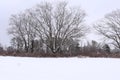 Winter scene in an open field after a snow storm February 2024 16 Royalty Free Stock Photo