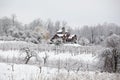 Winter Scene in Orchard