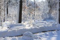 Winter scene in park