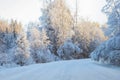 there is a small clearing of snow on the road in the woods Royalty Free Stock Photo