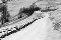 Winter scene of a path going down the hills in black and white