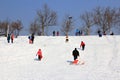 Winter scene - people in the park