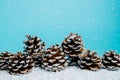 Winter scene with pine cones on a snowy surface against vivid blue background. Creative snowfall and Xmas season concept Royalty Free Stock Photo
