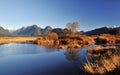 Winter scene of pitt lake