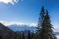 Winter scene in Poiana Brasov