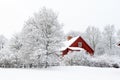 Red house between frozen trees in winter.