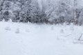 Winter scene in a rest zone near a forest. Benches and snowmen, forest road