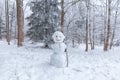 Winter scene in a rest zone near a forest. Benches and snowmen, forest road