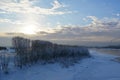 Winter scene with river partially under ice and trees on the bank in the evening Royalty Free Stock Photo