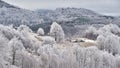 Winter scene in Romania , beautiful landscape of wild Carpathian mountains Royalty Free Stock Photo