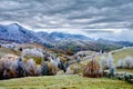 Winter scene in Romania , beautiful landscape of wild Carpathian mountains