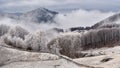 Winter scene in Romania , beautiful landscape of wild Carpathian mountains Royalty Free Stock Photo