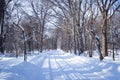 Winter scene Sapporo, Hokkaido, Japan.