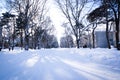 Winter scene Sapporo, Hokkaido, Japan.