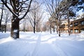Winter scene Sapporo, Hokkaido, Japan.