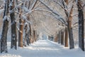 A winter scene showing a path covered in snow, cutting through a park adorned with trees, Snowy tree alley in a quiet winter park