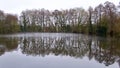 Winter scene showing trees reflected in still water of English lake Royalty Free Stock Photo