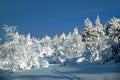 Winter scene with a skiing track, Lapland Finland Royalty Free Stock Photo