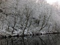 Winter scene with snow covered frozen trees reflected in still dark water