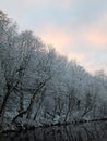 Winter scene with snow covered frozen trees reflected in still dark water