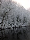 Winter scene with snow covered frozen trees reflected in still dark water