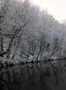 Winter scene with snow covered frozen trees reflected in still dark water