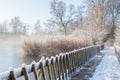 Winter scene with snow-covered reed and wooden foot bridge over frozen lake Royalty Free Stock Photo