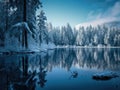 Winter scene with snow covered trees and a lake in the foreground Royalty Free Stock Photo