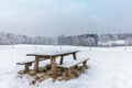 Winter scene with snow on the Dutch Posbank Royalty Free Stock Photo