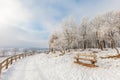 Winter scene with snow on the Dutch Posbank