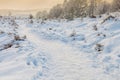 Winter scene with snow on the Dutch Posbank Royalty Free Stock Photo