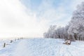 Winter scene with snow on the Dutch Posbank Royalty Free Stock Photo