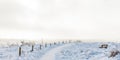 Winter scene with snow on the Dutch Posbank Royalty Free Stock Photo