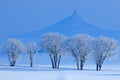 Winter scene with snow and trees. Hazmburk gothic castle on rocky mountain, hill landscape in Ceske Stredohori, Czech republic. Co