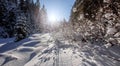 Winter Scene. Snowcovered Pine Trees in the Winter Wonderland Forest at Sunset. Wonderful nature background. Instagram Filter.